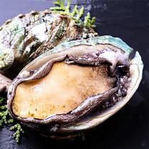 <img class='new_mark_img1' src='https://img.shop-pro.jp/img/new/icons30.gif' style='border:none;display:inline;margin:0px;padding:0px;width:auto;' />襢 1