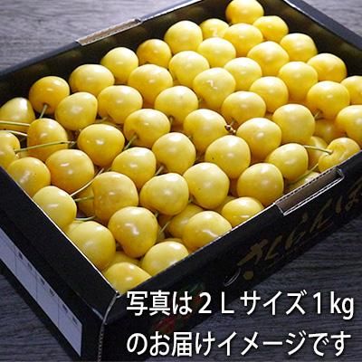 手詰]さくらんぼコルト月山錦2L約1kg