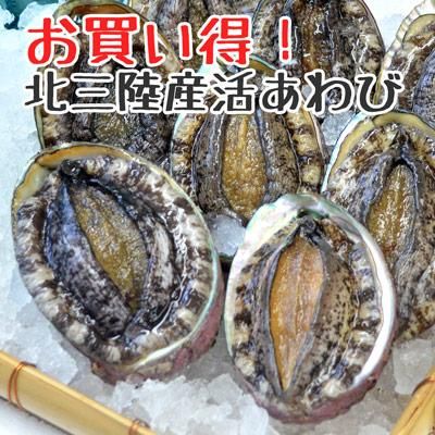 お買い得品 痩せキズの訳あり天然活あわび約500g前後 3 5個 冷蔵 お届け日付指定できません 三陸の海産物宅配します 宏八屋