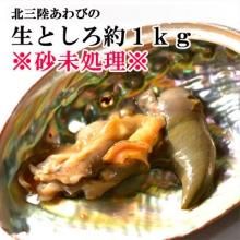天然活あわび 三陸の海産物宅配します 宏八屋 天然活あわび 三陸の海産物宅配します 宏八屋