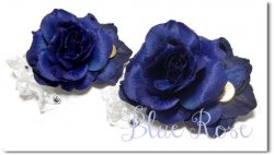 Blue Rose*