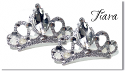 <img class='new_mark_img1' src='https://img.shop-pro.jp/img/new/icons55.gif' style='border:none;display:inline;margin:0px;padding:0px;width:auto;' />Tiara*