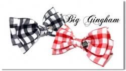 Big Gingham 