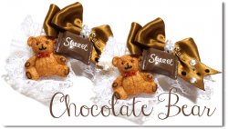 Chocolate Bear
