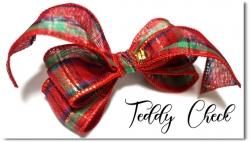 Teddy Check