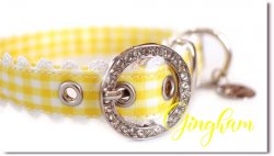 Pastel Gingham Yellow ◆ silver