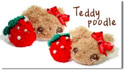 <img class='new_mark_img1' src='https://img.shop-pro.jp/img/new/icons55.gif' style='border:none;display:inline;margin:0px;padding:0px;width:auto;' />Teddy poodle