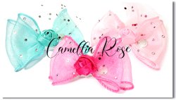 Camellia Rose*MP