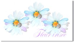 Fleur Irisee*single

