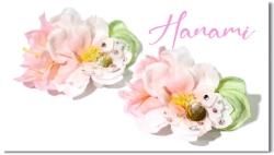 Hanami