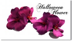 Halloween Flower