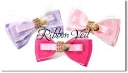 Ribbon veil 