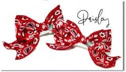 Paisley*