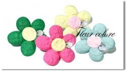 Fleur colore