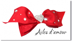 Ailes d'amour*r