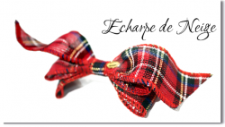 Echarpe de neige*fly