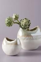 アンソロポロジー 花瓶 アンソロポロジー 花瓶 【公式通販】