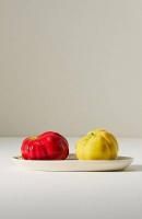 セール商品 - ANTHROPOLOGY(アンソロポロジー)専門店precios moments