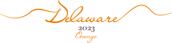 delaware orange 2023