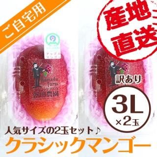 のの子　ロザリオビアンコ6キロ　送料込 ロザリオビアンコ ぶどう 送料無料 1kg 2〜3房 2箱購入で1箱