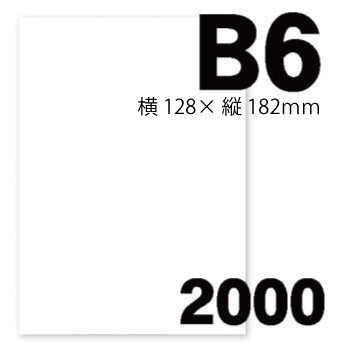 無地薬袋（プリンター薬袋） B6 2000枚/ケース- アオゾラスタイル