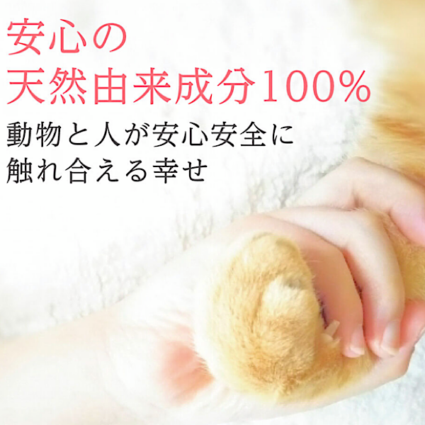 犬猫と一緒に暮らす人のためのハンドクリーム Bo Cafe 犬猫と一緒に暮らす人のためのハンドクリーム Bo Cafe