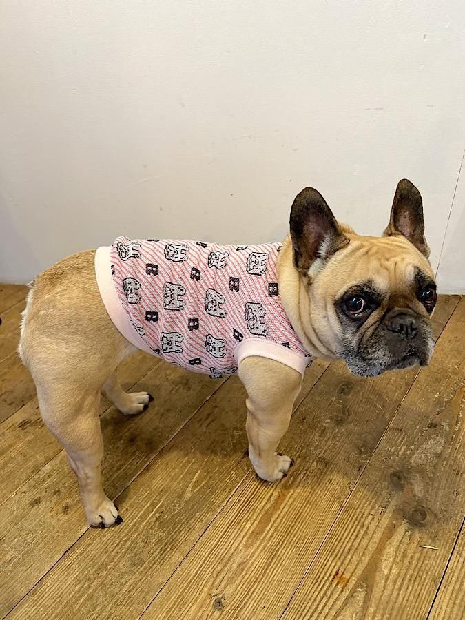 SEV PETS 犬用 ルーパー ピンク Lサイズ(45㎝) SEV PETS 犬用 ルーパー ピンク Lサイズ(45㎝)