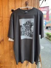 <img class='new_mark_img1' src='https://img.shop-pro.jp/img/new/icons17.gif' style='border:none;display:inline;margin:0px;padding:0px;width:auto;' />WILD ROCK T-shirtBLIMP