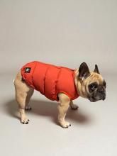 <img class='new_mark_img1' src='https://img.shop-pro.jp/img/new/icons14.gif' style='border:none;display:inline;margin:0px;padding:0px;width:auto;' />͹ӥ㥱å