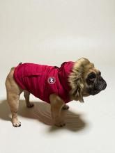 <img class='new_mark_img1' src='https://img.shop-pro.jp/img/new/icons14.gif' style='border:none;display:inline;margin:0px;padding:0px;width:auto;' />ڥǥ󥸥㥱å