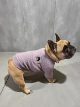 <img class='new_mark_img1' src='https://img.shop-pro.jp/img/new/icons14.gif' style='border:none;display:inline;margin:0px;padding:0px;width:auto;' />äѥ֥˥åȡBLIMP