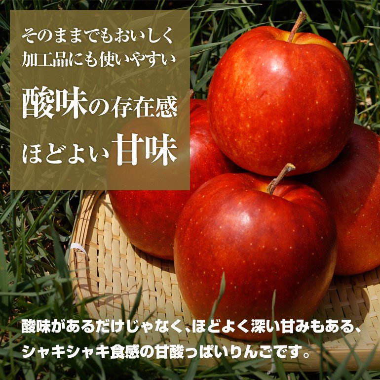 酸味の中にも甘みがある、シャキシャキ食感の青森県産りんご「サンジョナ（ジョナゴールド）」