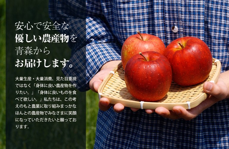 無農薬 青森りんご【金星（きんせい）約2kg】送料無料で産地直送販売！ まっかなほんと