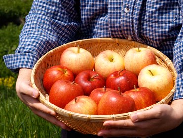 「見た目重視の時代から安全性と味を第一へ」消費者の方々をはじめ、子供たちのためにも「安心安全美味しい」を追求し、りんごを作り続けていきます。