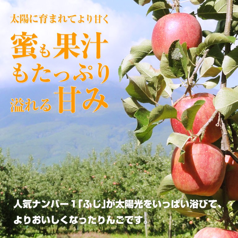 青森りんごの中でも一番人気の「ふじ」が太陽光をいっぱい浴びて、より甘くよりジューシーにおいしくなったりんごです。