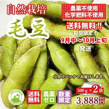 ○栽培期間中農薬・肥料不使用○熊本県産○メークイン○20kg