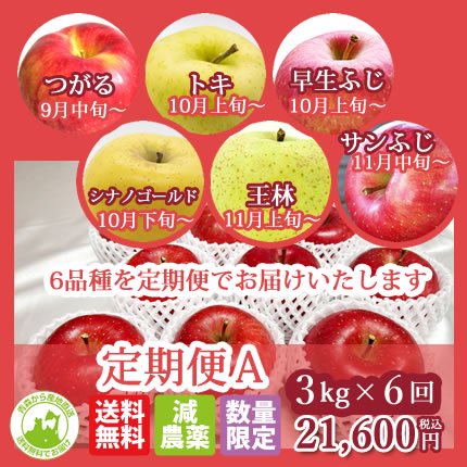 りんご園を守り隊　『各種りんご　定期便　3ｋ』6回に分けてお届けします!! リンゴの種類/つがる・トキ・早生ふじ・シナノゴールド・王林・サンふじ 数量限定販売ですのでなくなり次第終了です。お求めの方はお急ぎください！