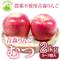 2023年産　青森県産 農薬不使用りんご  「むつ」【約2kg 5〜7個入り】10月下旬〜ご発送予定でございますを産地直送で通信販売