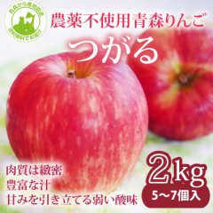 2023年産　青森県産 農薬不使用りんご  「つがる」【約2kg 5〜7個入り】9月下旬〜ご発送予定でございますを産地直送で通信販売