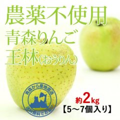 無農薬 青森りんご【サンふじ約3kg】送料無料・通販 まっかなほんと