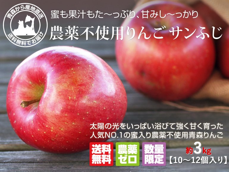 青森県産無農薬サンフジりんご12個送料無料リンゴ