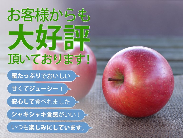 無農薬りんご サンフジ 青森県産 4kg 10-15個目安