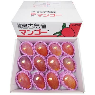 家庭用マンゴー　約４ｋｇ ご家庭用】宮古島産マンゴー4kg (7～9玉) | マンゴーファーム宮古島