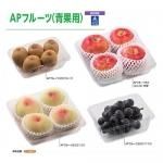 フルーツケース - 矢野紙工Onlineshop