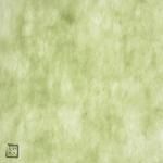 ե롼߻ ꡼ 200200 16000 492051  ե롼 ݥƥ֥ꥹб 