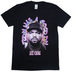 <img class='new_mark_img1' src='https://img.shop-pro.jp/img/new/icons30.gif' style='border:none;display:inline;margin:0px;padding:0px;width:auto;' />ICE CUBE "Today Was A Good Day 3" T / ֥å