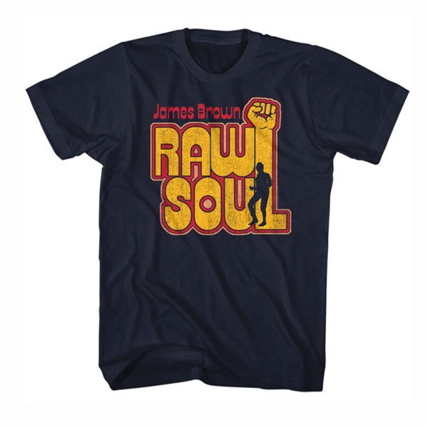 <img class='new_mark_img1' src='https://img.shop-pro.jp/img/new/icons30.gif' style='border:none;display:inline;margin:0px;padding:0px;width:auto;' />JAMES BROWN "RAW SOUL" Tシャツ / ネイビー