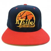 <img class='new_mark_img1' src='https://img.shop-pro.jp/img/new/icons56.gif' style='border:none;display:inline;margin:0px;padding:0px;width:auto;' />A Tribe Called Quest "Basketball City" ʥåץХå / ͥӡ