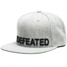 <img class='new_mark_img1' src='https://img.shop-pro.jp/img/new/icons30.gif' style='border:none;display:inline;margin:0px;padding:0px;width:auto;' />Undefeated "UNDEFEATED HO14" ʥåץХåå/ 졼