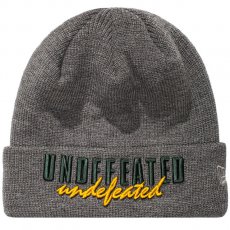 <img class='new_mark_img1' src='https://img.shop-pro.jp/img/new/icons6.gif' style='border:none;display:inline;margin:0px;padding:0px;width:auto;' />Undefeated "FANATIC" NEWERA ӡˡ/ 졼